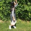 mishy3